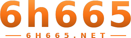 6h665 logo